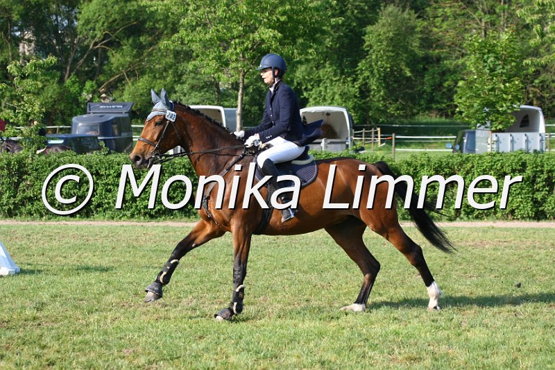 105M3149_Spring A.JPG